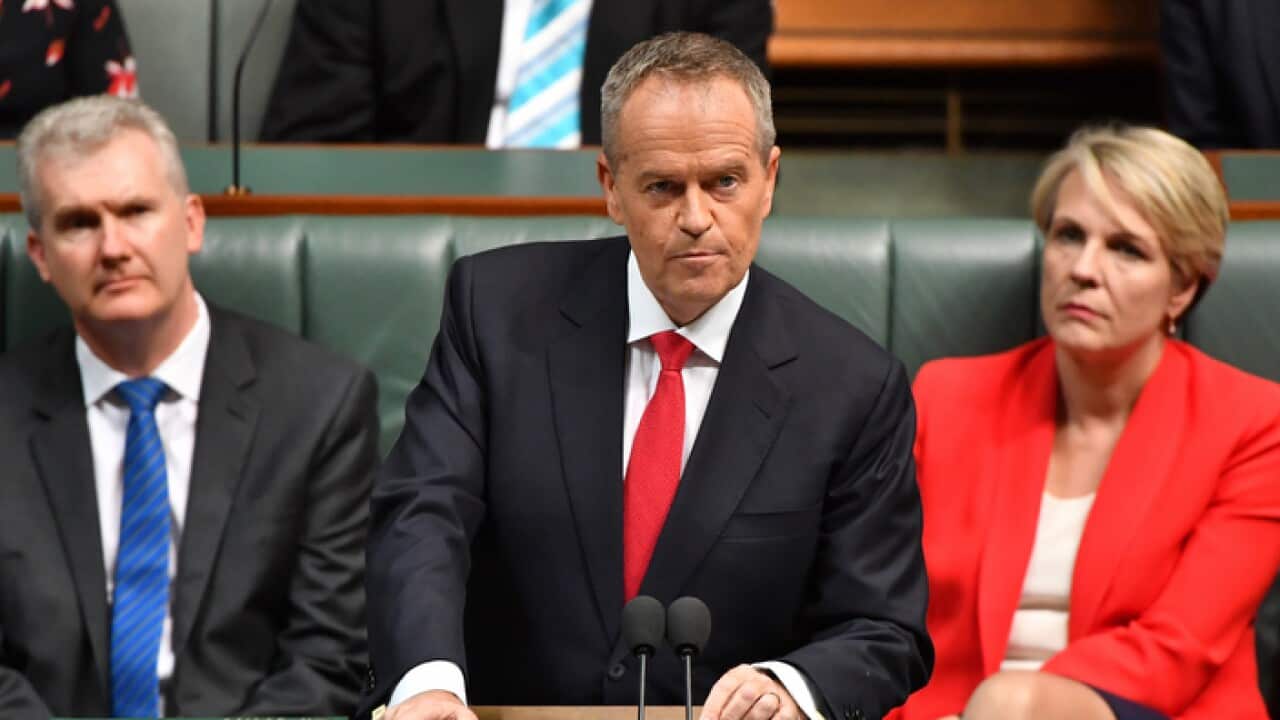 Bill Shorten delivers his Budget in reply