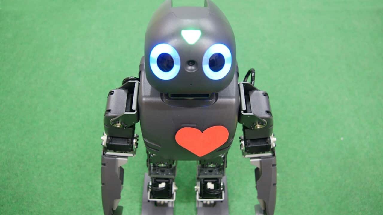 What happens when robots take our jobs?