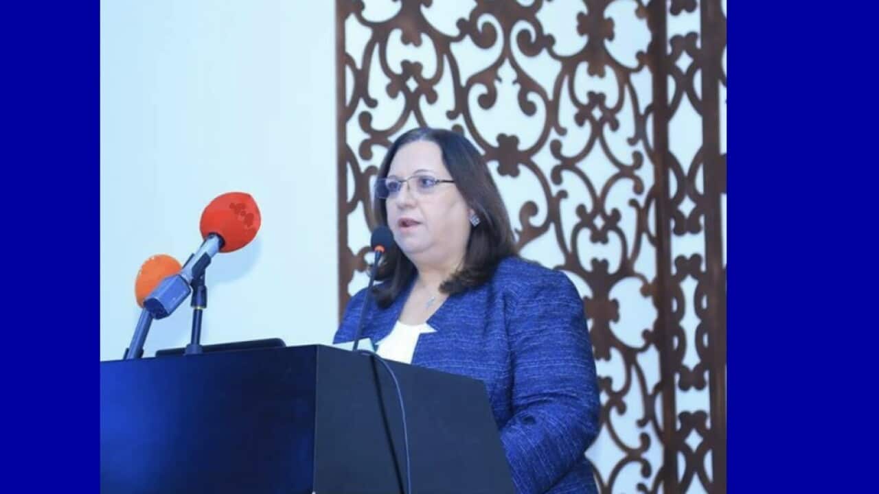 Ms. Marleen Yousif (Assyrian Women Union-Iraq)