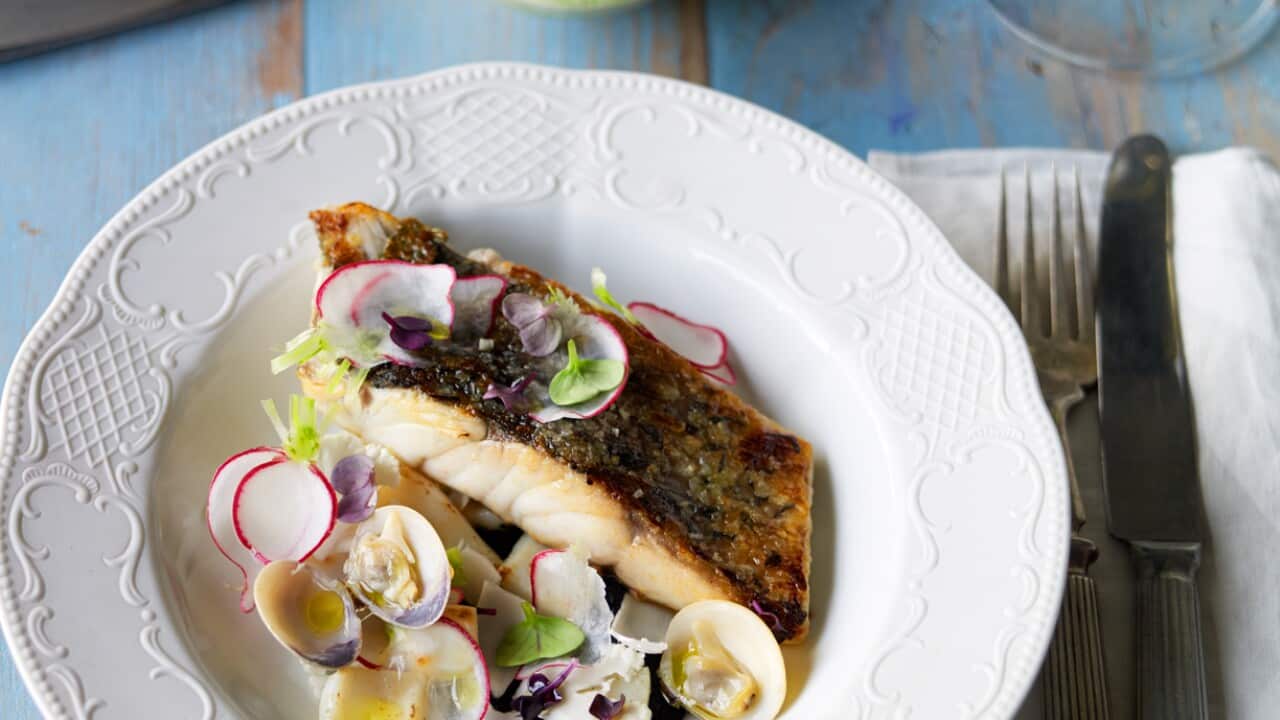 Barramundi with clams and squid ink