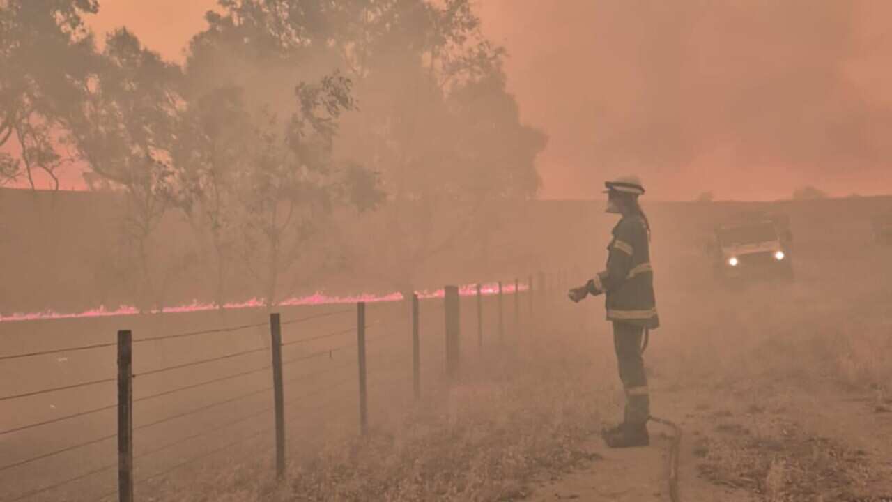 BUSHFIRES VICTORIA