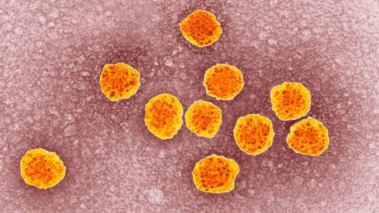 Australia leading world in hepatitis C treatment; but virus more prevalent in Aboriginal people