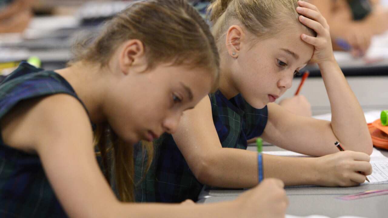 Primary school students in class.