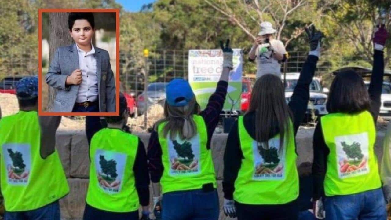 Image for read more article ''