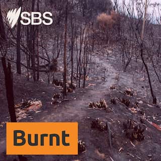 SBS-Podcasts_Burnt_3000x3000px_LTR.jpg