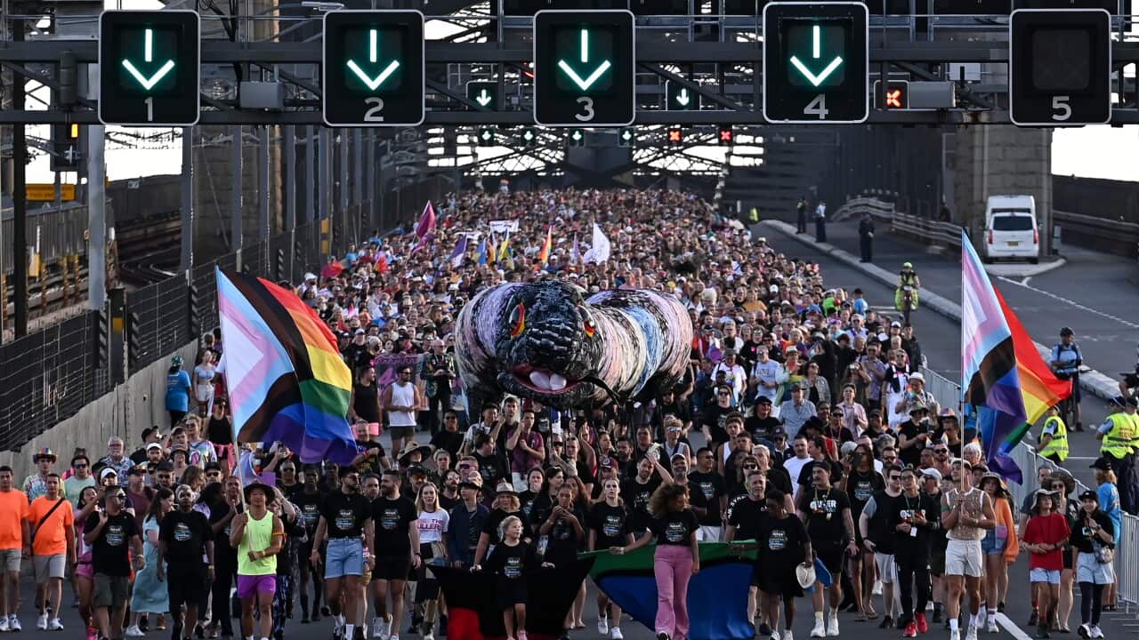 Thousands of people marching across Sydney Harbour Birdge