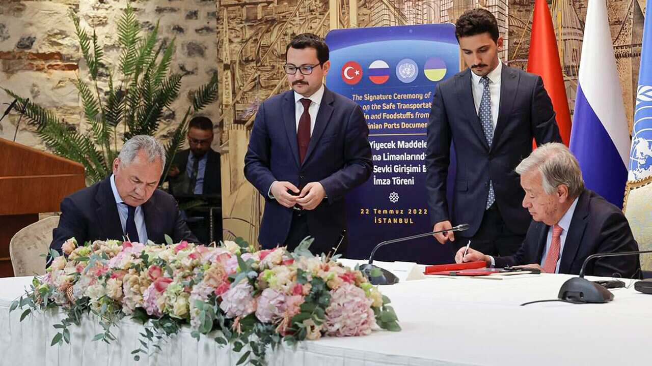 Turkey Ukraine Grain