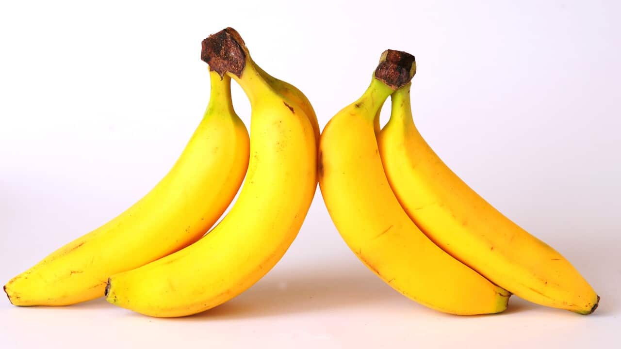 Banana and avocado research