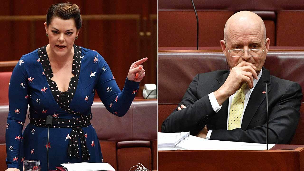 Greens senator Sarah Hanson-Young says Liberal Democrats senator David Leyonhjelm should resign.