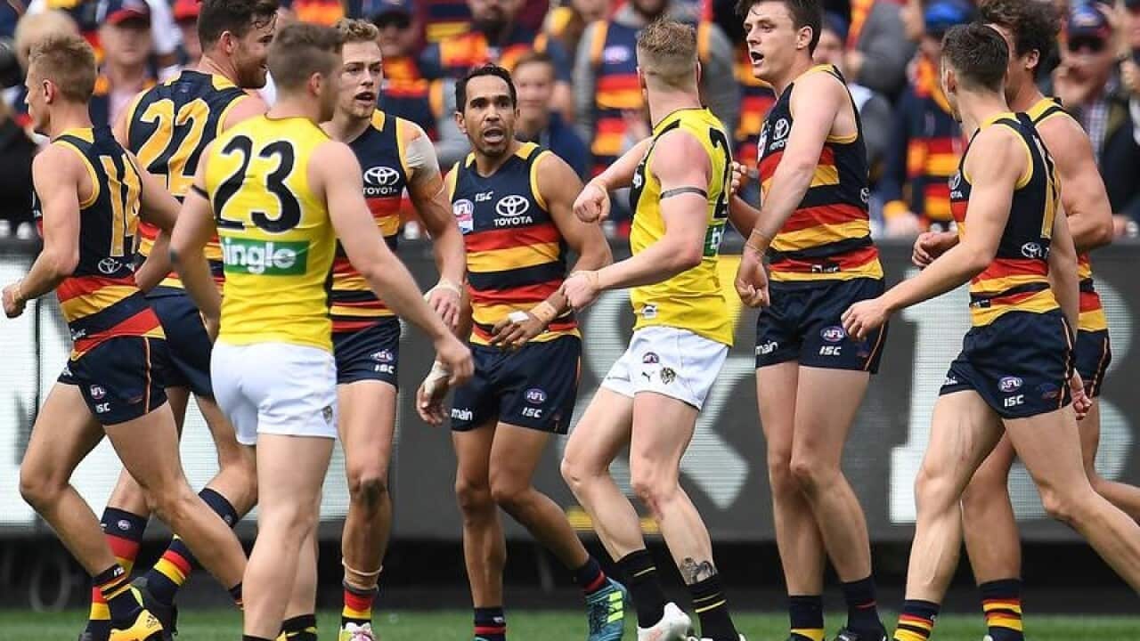 Crows and of Tigers players melee