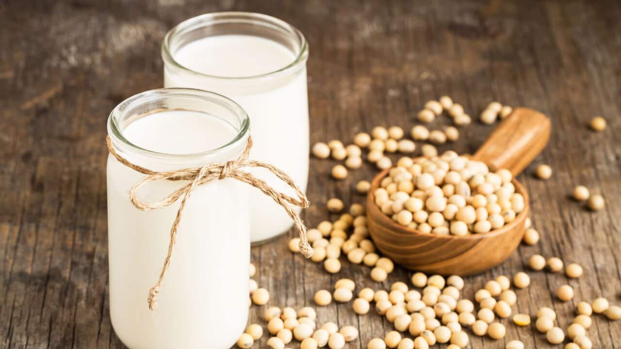 There are so many ways to eat/drink soy. But does it cause or prevent cancer?