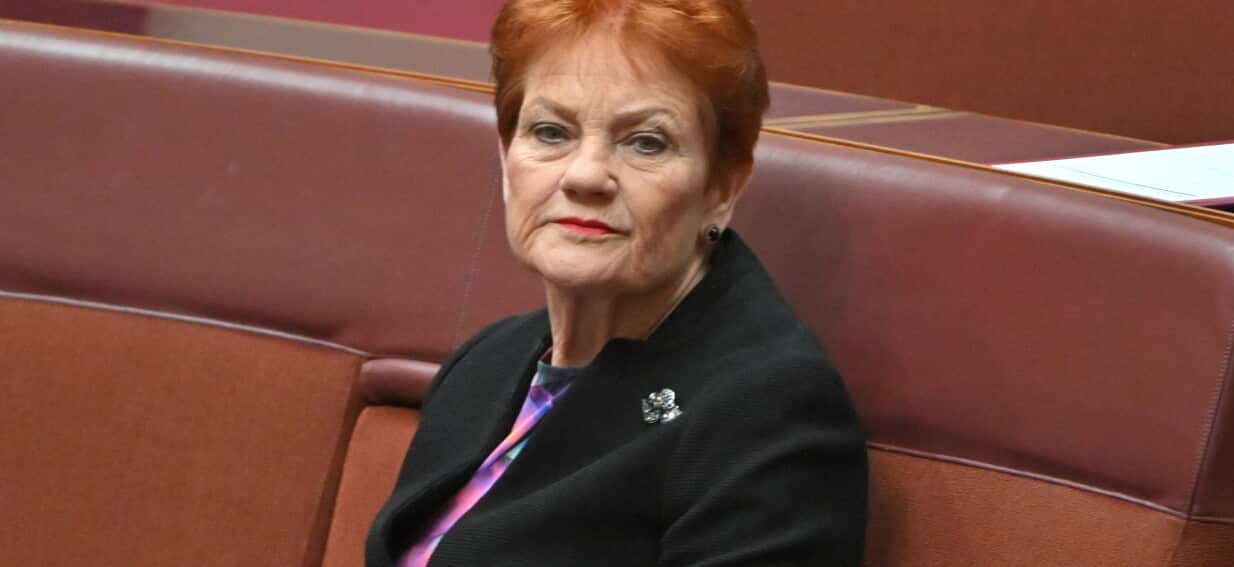 Hanson's 'Two-Way Street' Row: Advocates Slam Pauline's Domestic Violence Comments