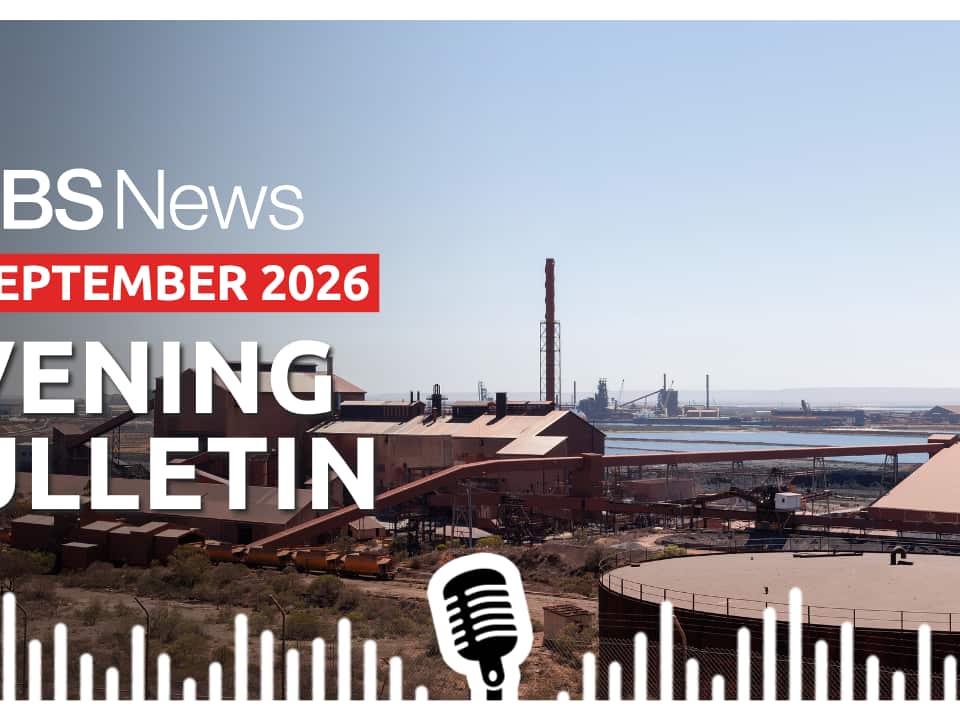 AFTERNOON BULLETIN (1).png