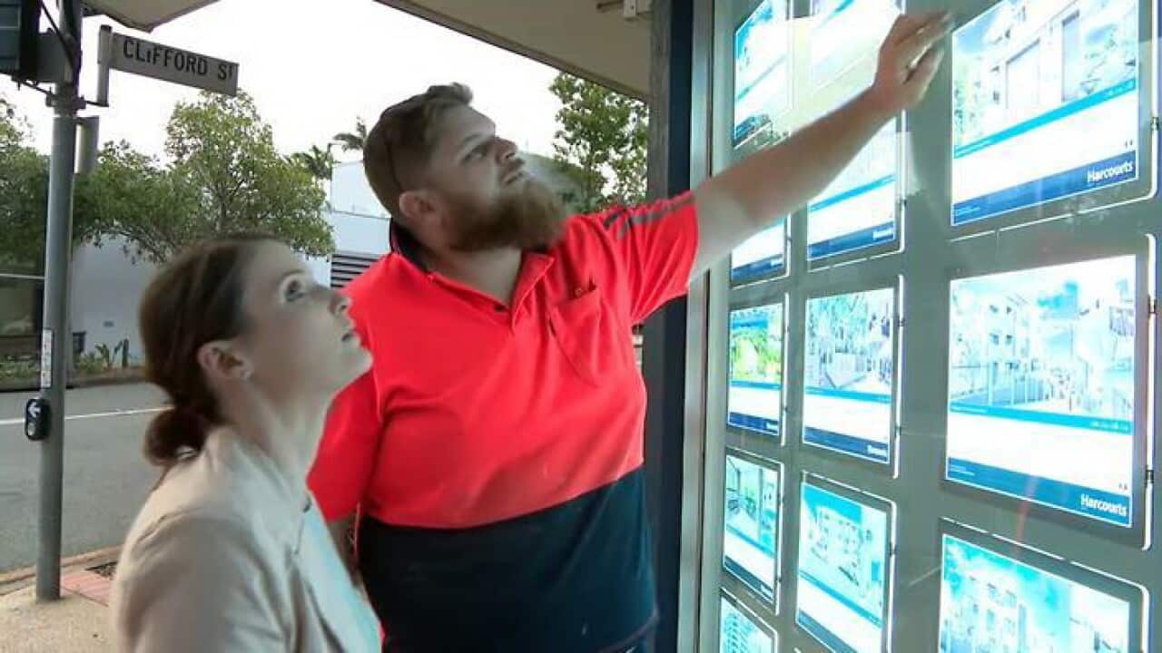 Brittney and Matthew Haylock (SBS)