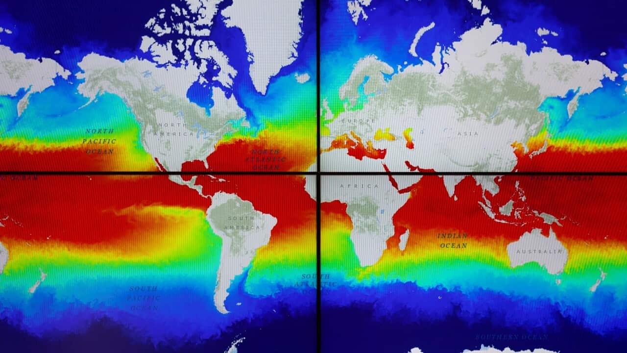 Screens at the Euro Mediterranean Centre on Climate Change in Italy (Getty Images)