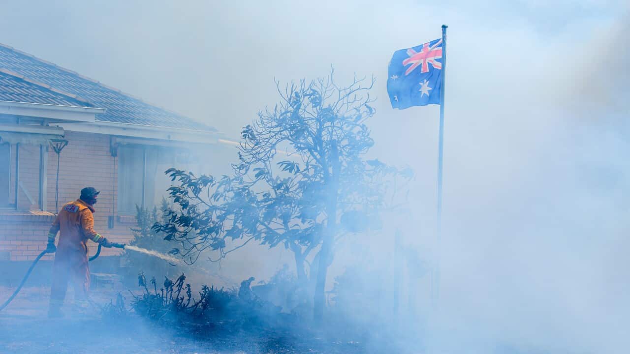 Image for read more article ''