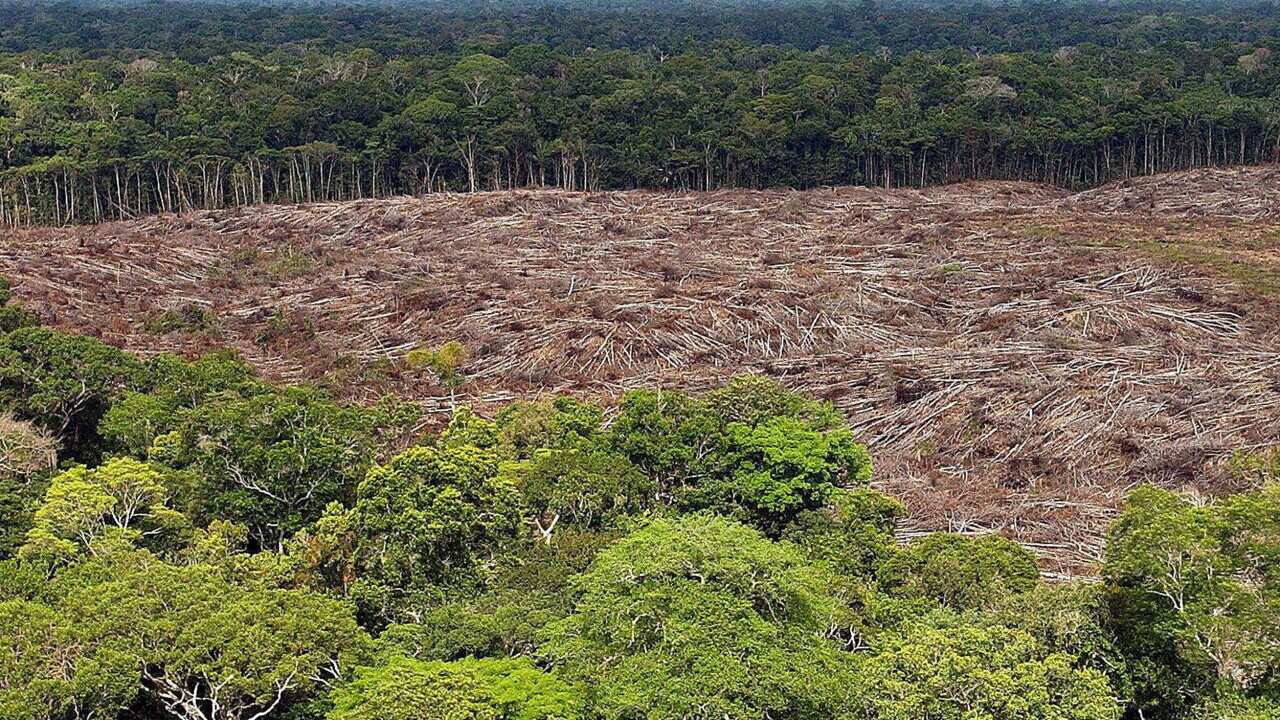 BRAZIL ENVIRONMENT DEFORESTATION