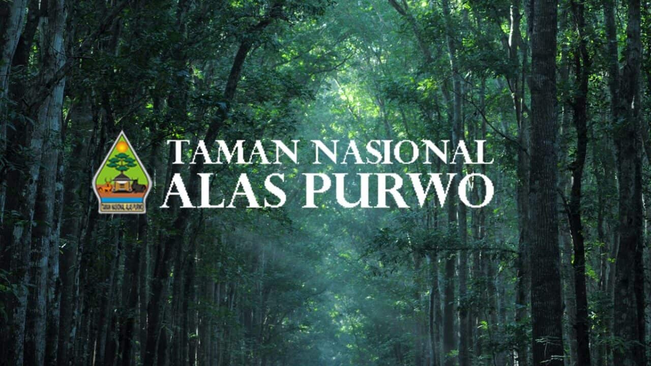 Taman Nasional Alas Purwo, Banyuwangi, JawaTimur