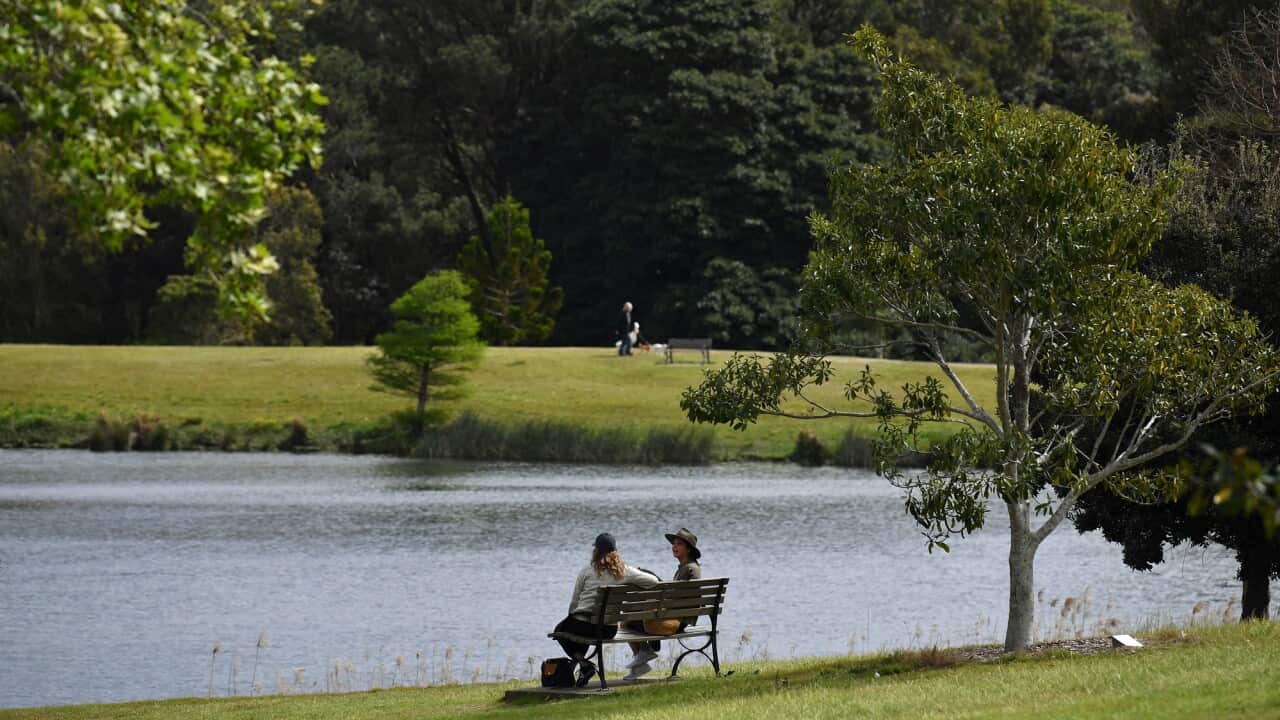 Two people sit on a park bench under a tree at Centennial Park in Sydney.
