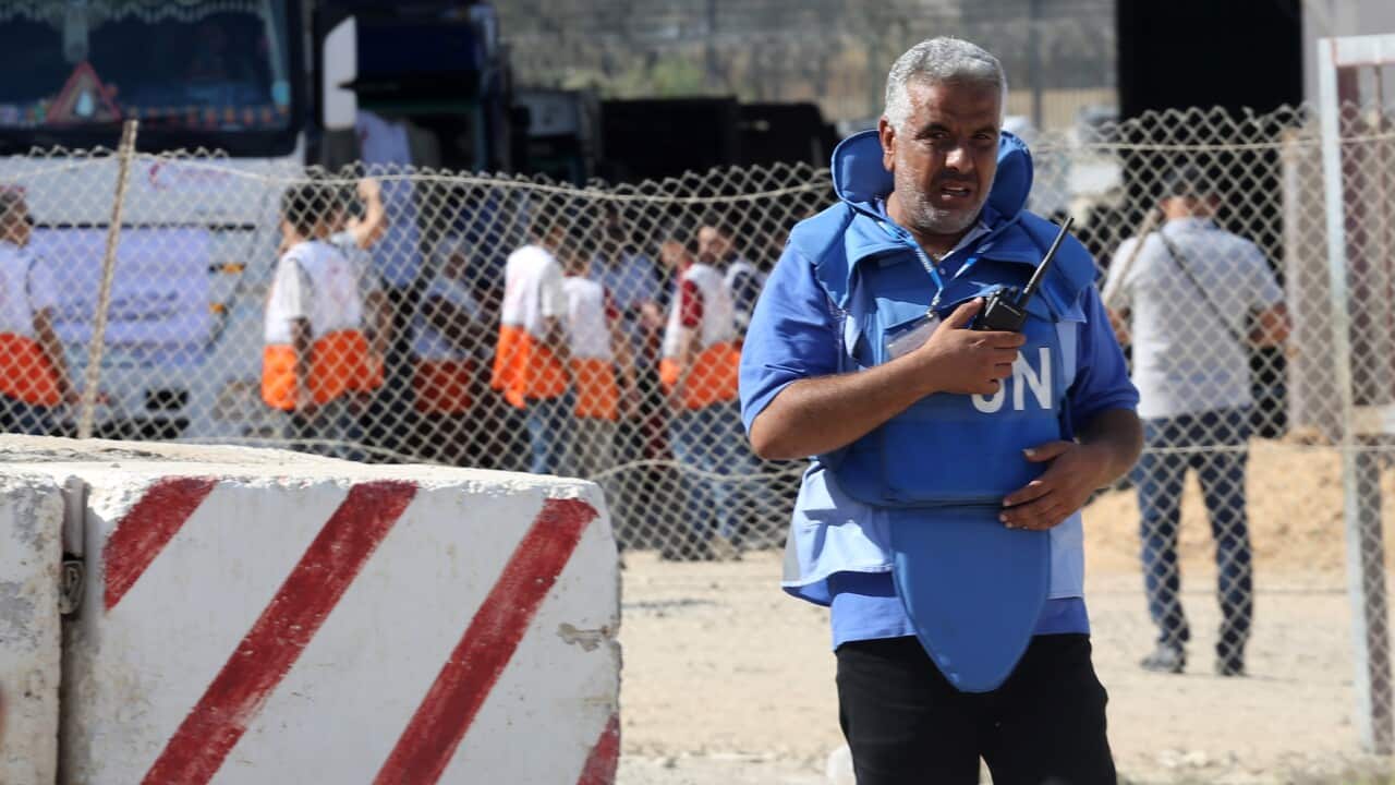 Image for read more article 'إقرأ أيضاً'