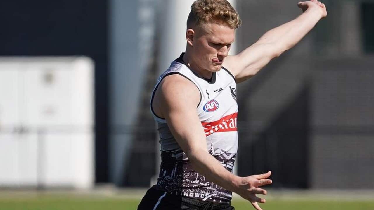 Collingwood Magpies midfielder Adam Treloar