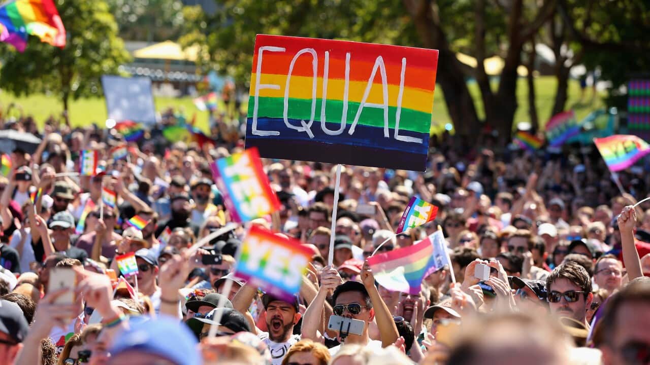 SYDNEY, AUSTRALIA - NOVEMBER 15: People celebrate the result announcement on November 15, 2017 in Sydney, Australia.