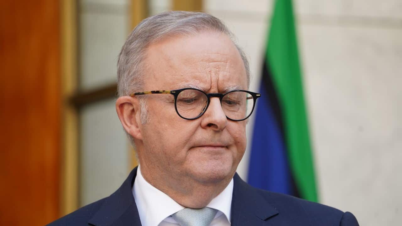 ANTHONY ALBANESE ANTISEMITISM PRESSER