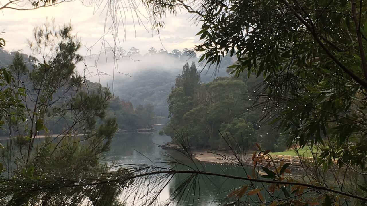 Mukta Arora found relief from stress in some of Sydney's beauty spots