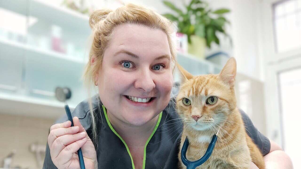 Image for read more article 'READ MORE'