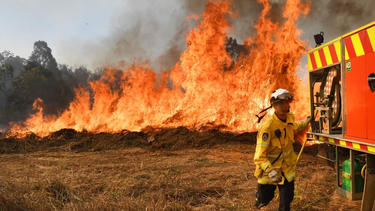 A New South Wales firefighter seen back burning and fighting fires in northern New South Wales in September of 2019.