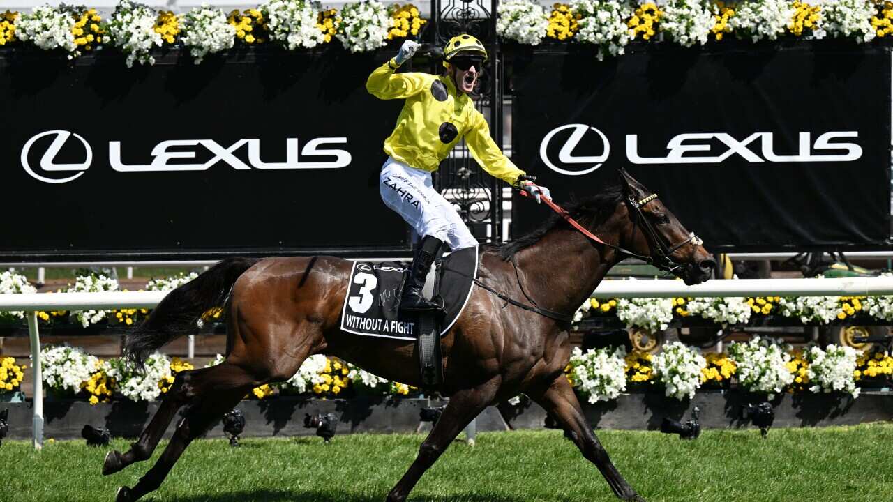 RACING MELBOURNE CUP