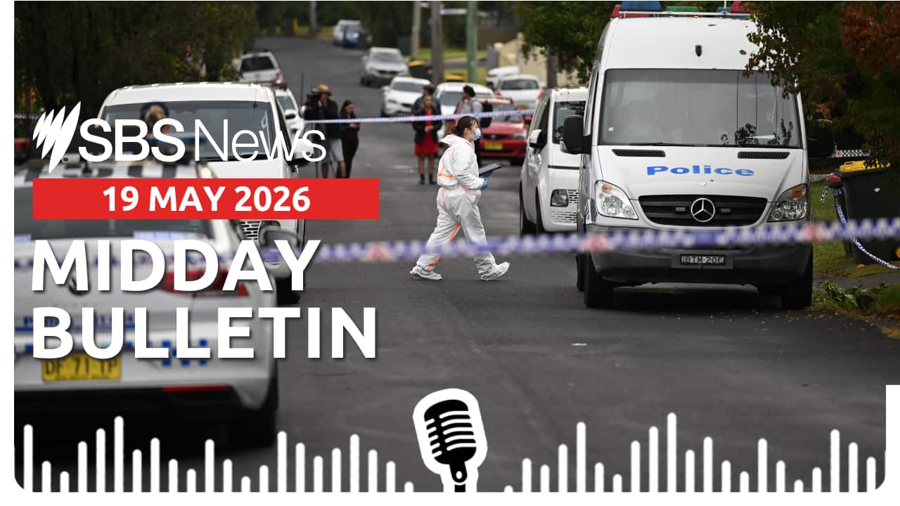 MIDDAY BULLETIN.png