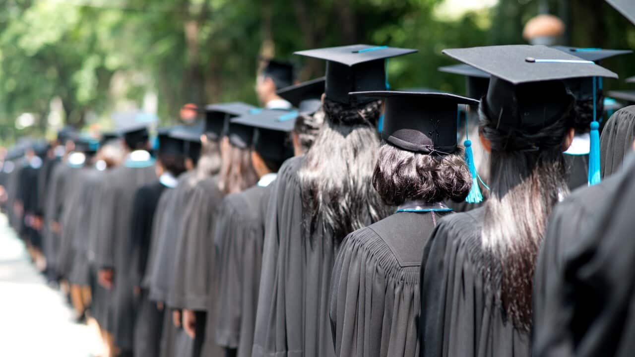 Rear View Of People At Graduation Ceremony