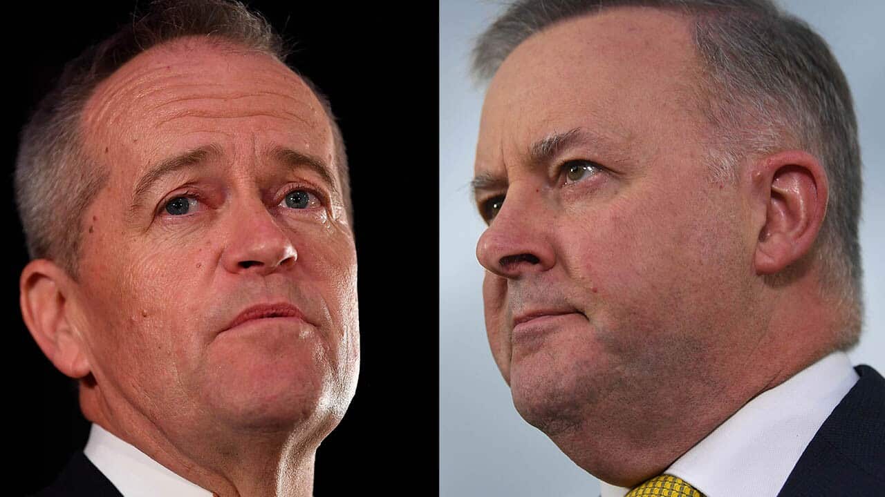 Anthony Albanese has spoken with SBS News about the future of his party and his predecessor.