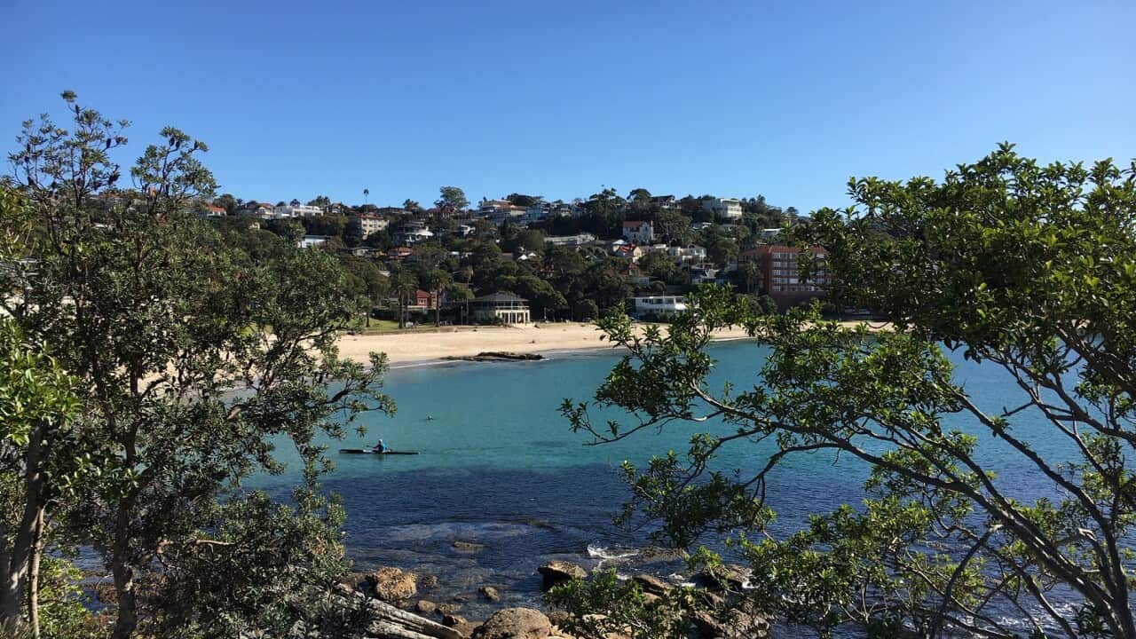 Sydney skies are clearer than they have been for years