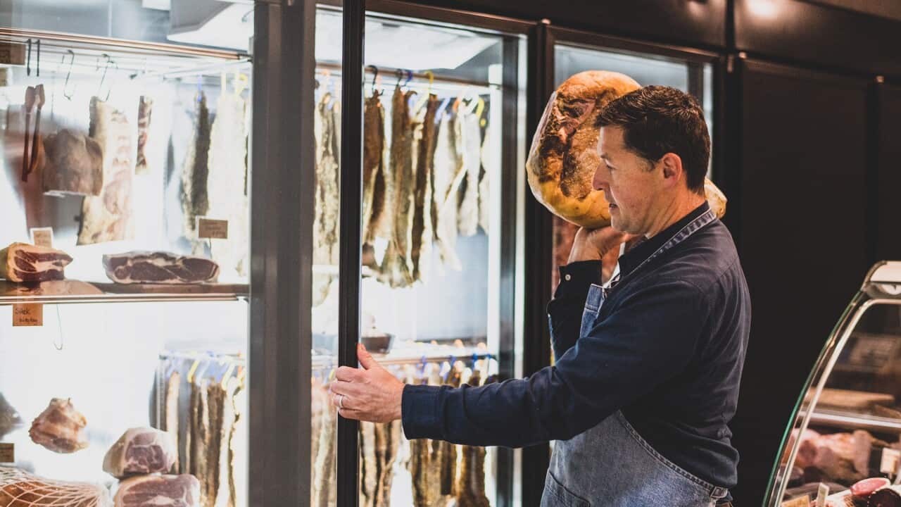 BB IV Stefan Birmili DSC_3036.jpeg