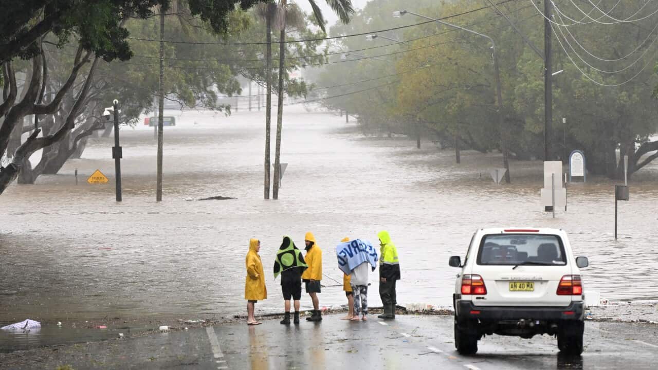 Image for read more article 'Temas relacionados:'