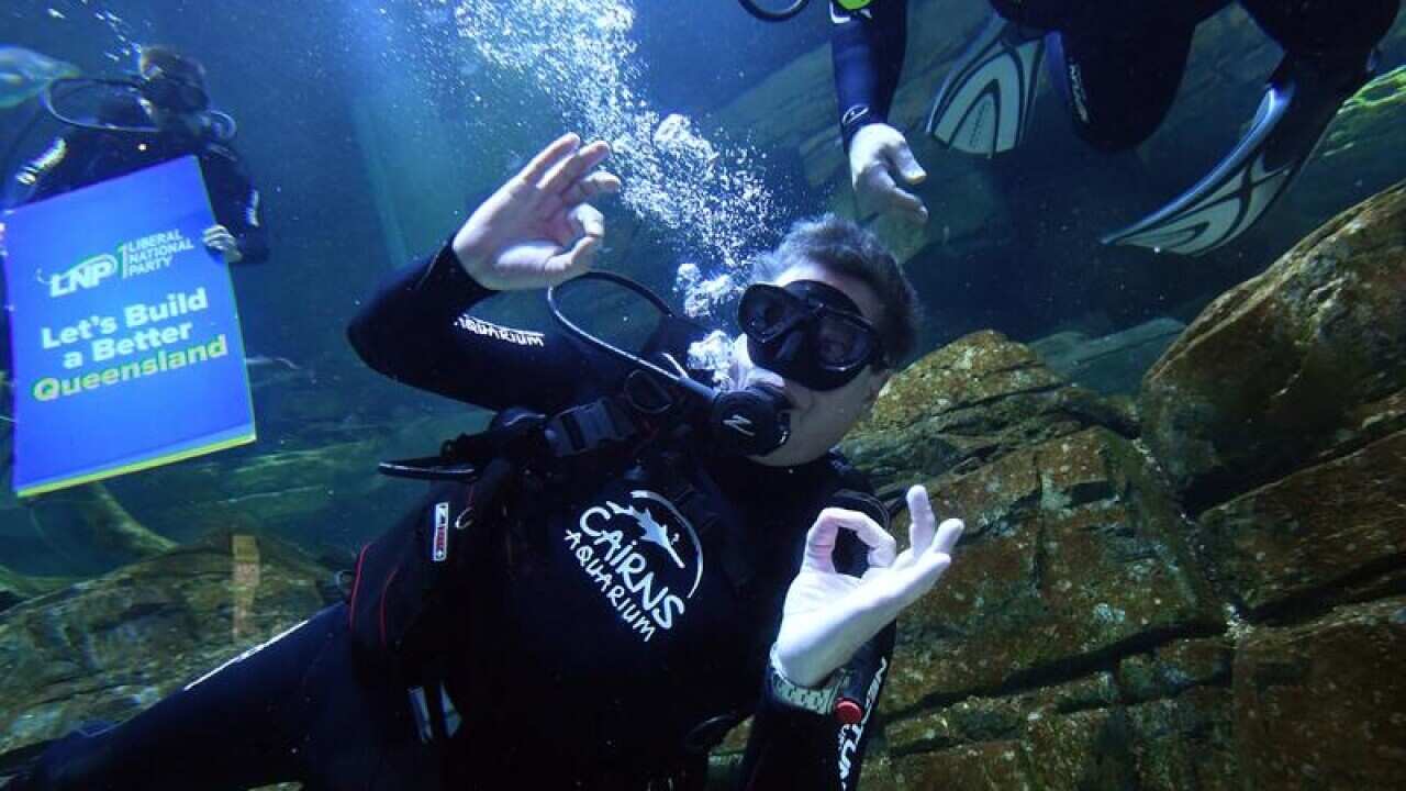 Queensland Opposition Leader Tim Nicholls