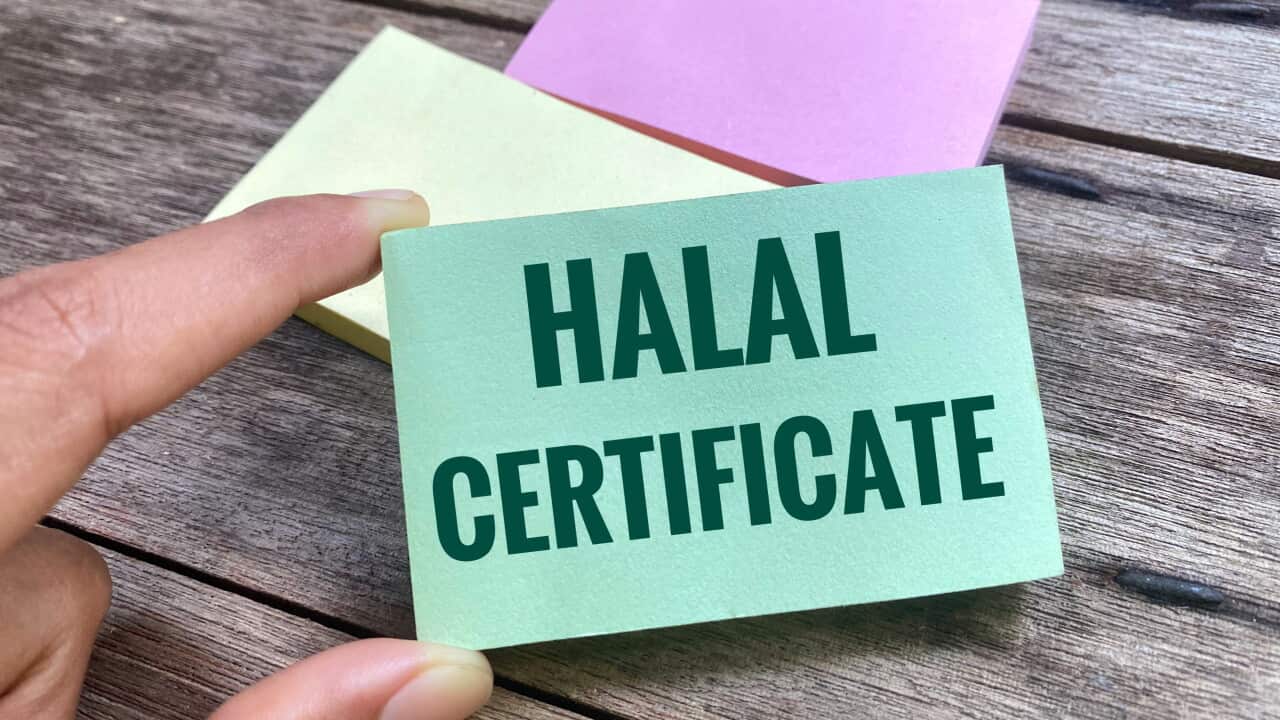 Refers to the products meet Islamic law dietary laws, ensuring they're free from prohibited items like pork and alcohol.