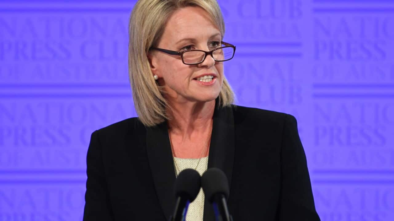Deputy Nationals leader Fiona Nash