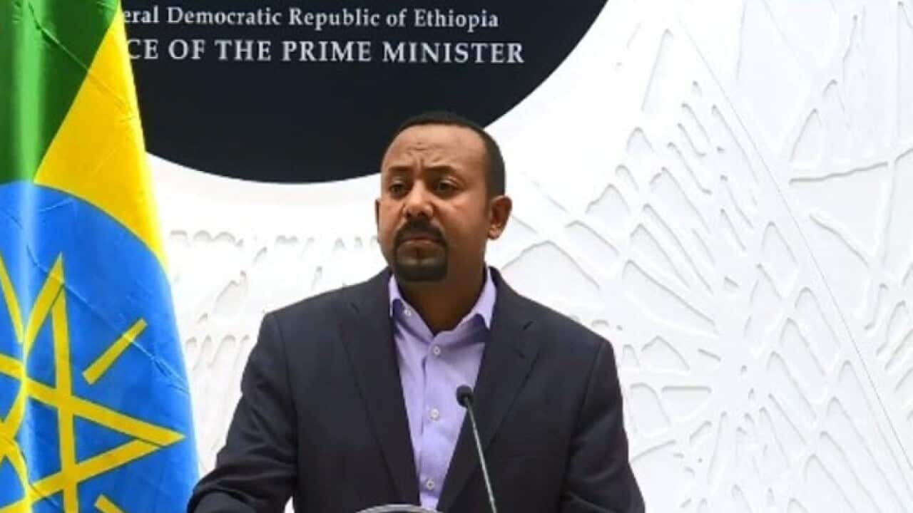 Homeland Report 0411