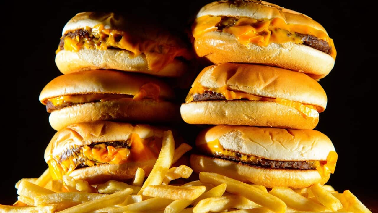 Junk food study