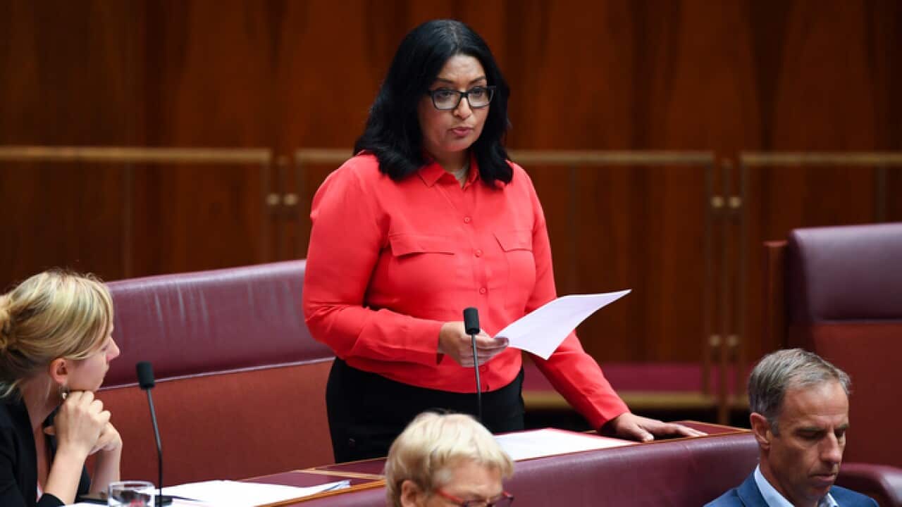 Australian Greens Senator Mehreen Faruqi speaks during Senate business, in Parliament House in Canberra, 2019.