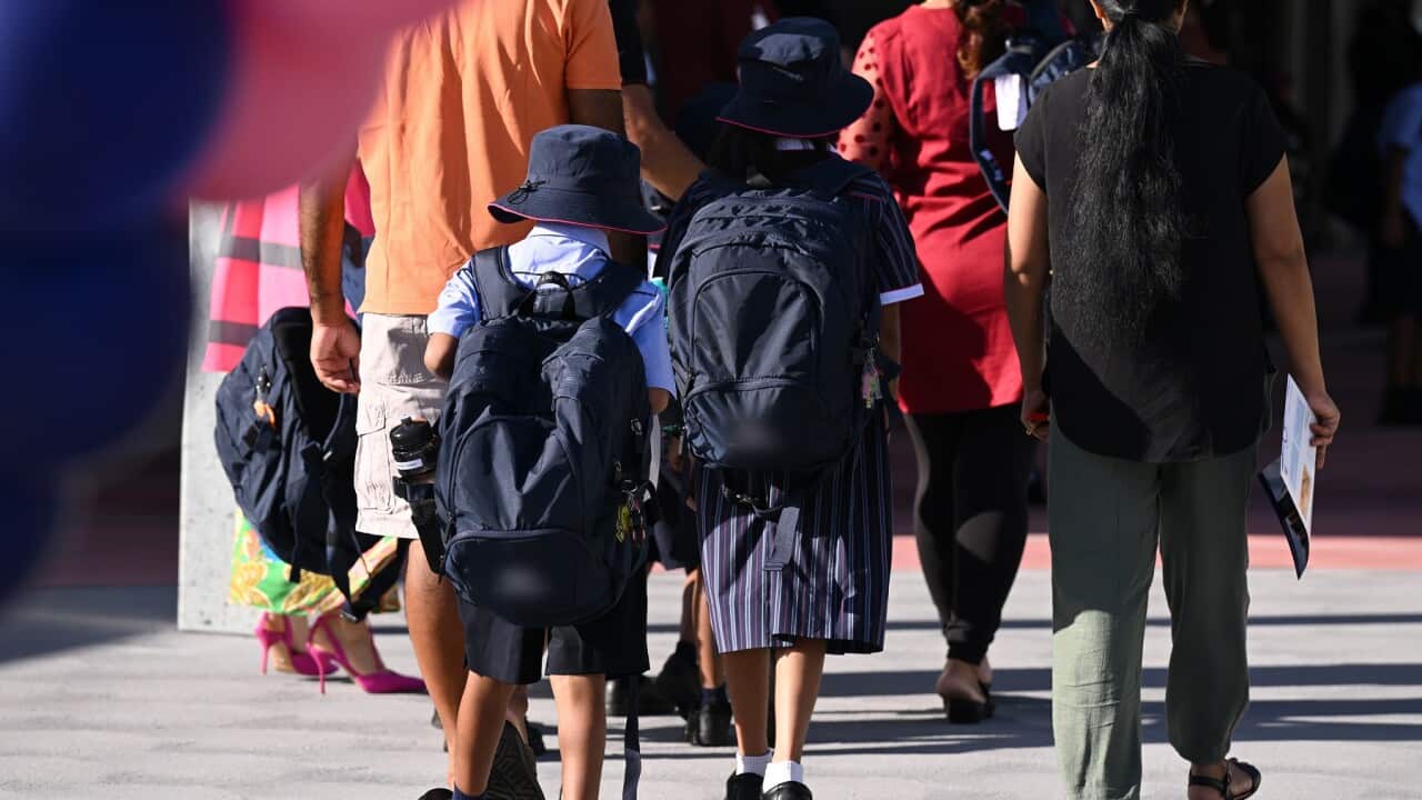 Image for read more article ''