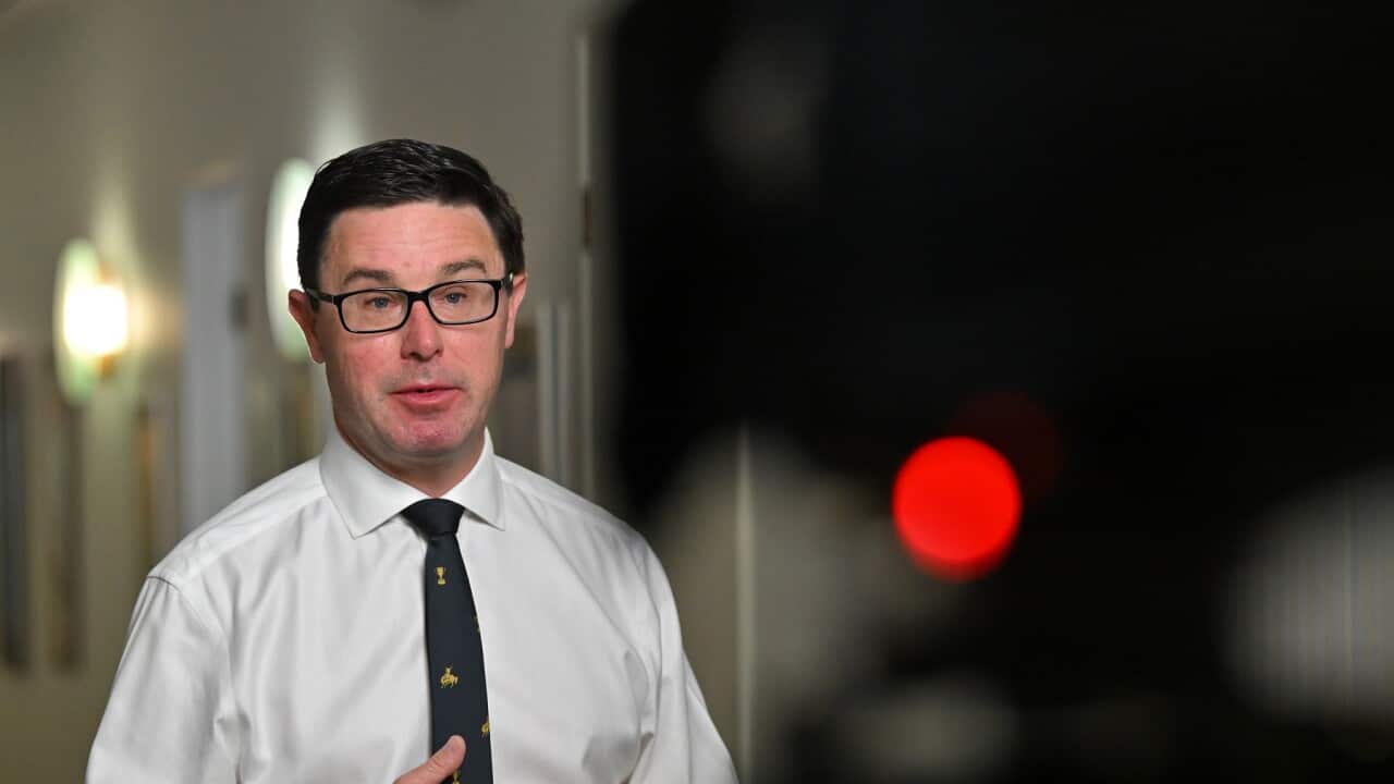 DAVID LITTLEPROUD PRESSER