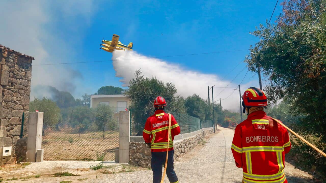Forest fire in Portuguese municipality of Penamacor