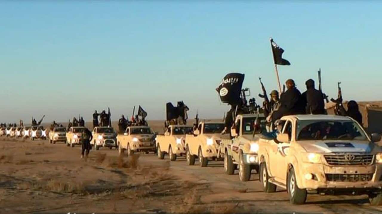 A convoy of vehicles and fighters from the Islamic State group in Iraq's Anbar Province.