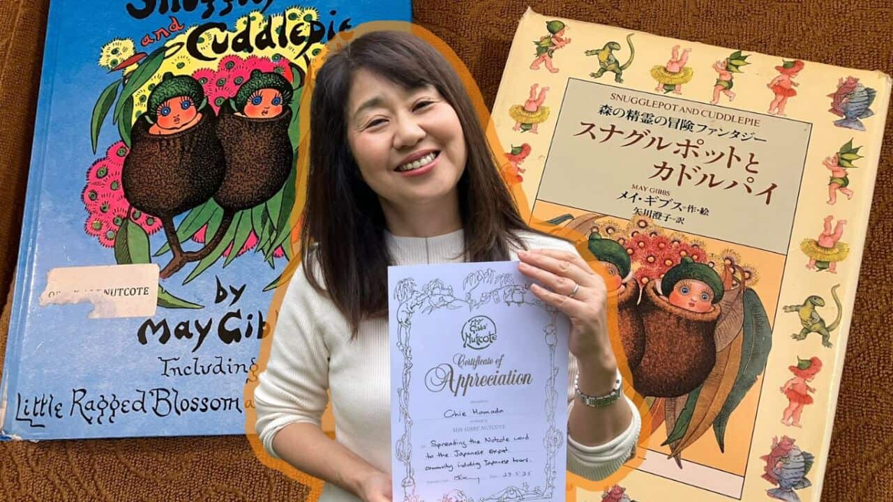 Nutcote 100th Chie Hamada