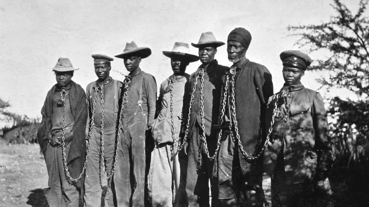 Seven native Herero men are seen chained together in an undated photo.