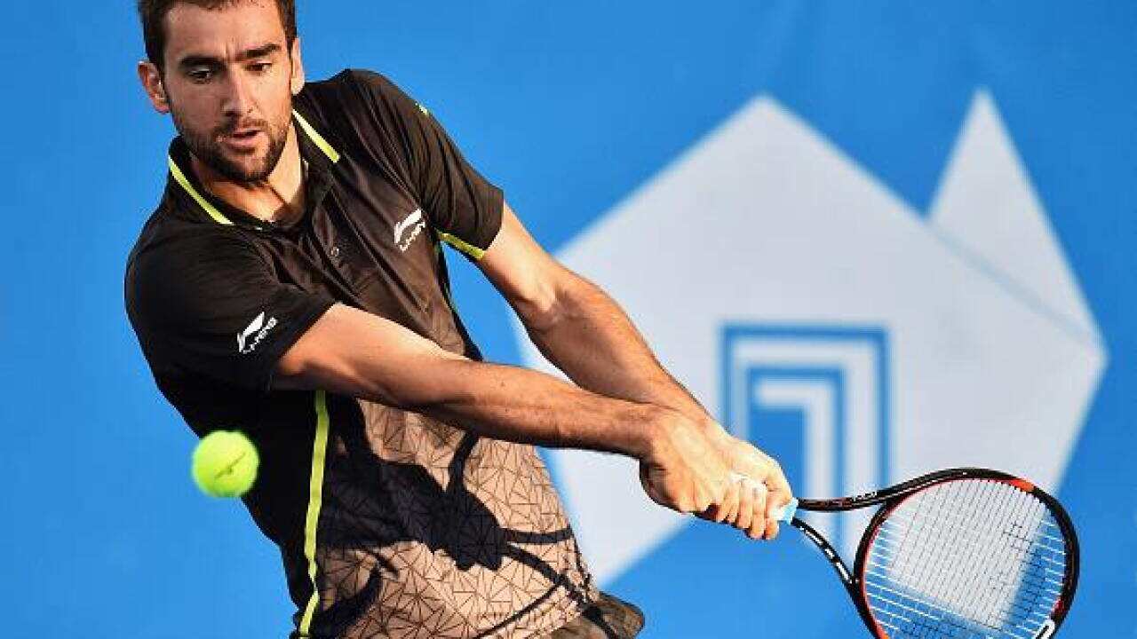 Marin Čilić